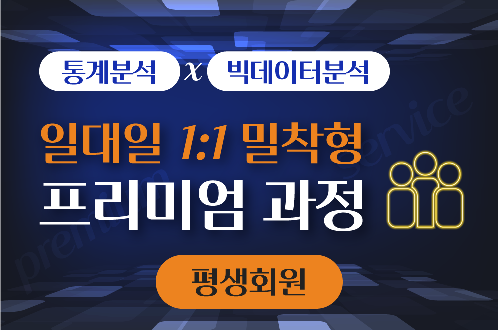 1:1 밀착형 프리미엄 과정 (평생)